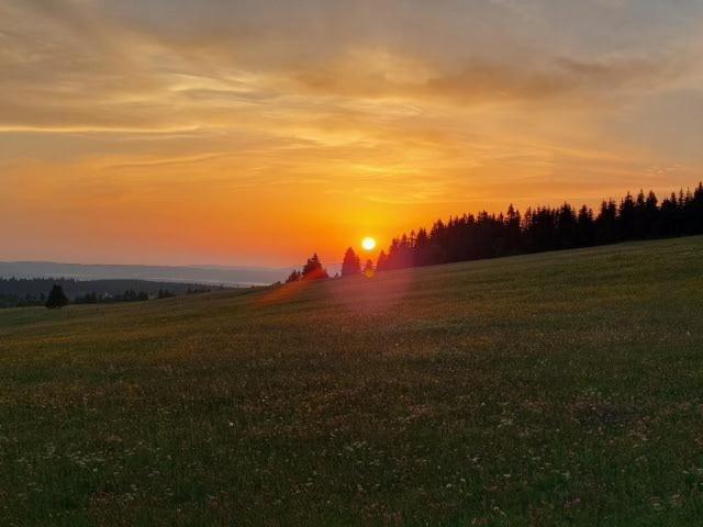 Landgasthof Neitsch Schwarzenberg  Extérieur photo
